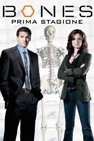 Bones: Stagione 1