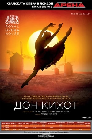 Poster Дон Кихот 2014