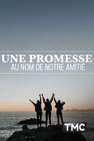 Une promesse au nom de notre amitié