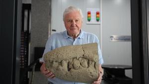 Attenborough and the Jurassic Sea Monster