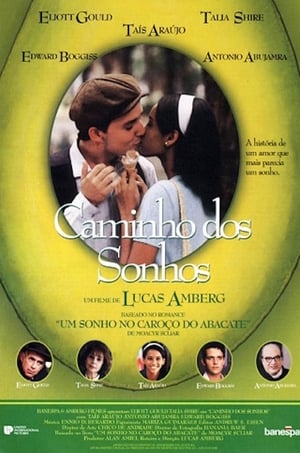 Poster Caminho dos Sonhos 1998