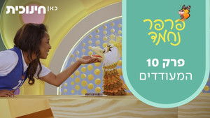 The Cheerleaders | StreamHub