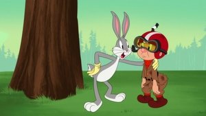 Looney Tunes Cartoons Virtual Mortality