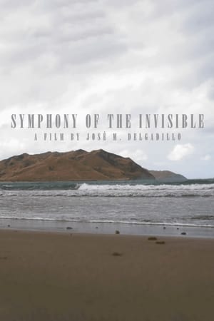 Poster Sinfonía de lo invisible 2020