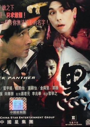 Poster 黑豹 1993