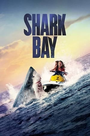 Shark Bay cover