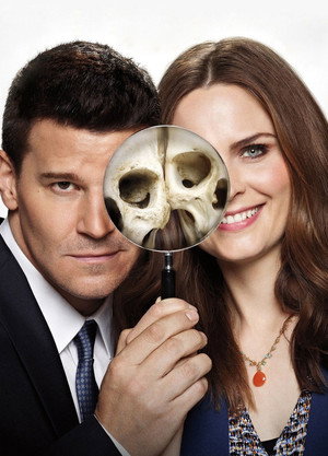 poster Bones