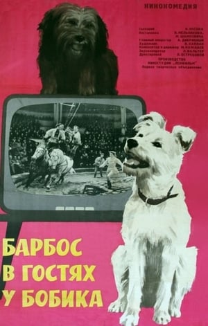 Барбос в гостях у Бобика poster