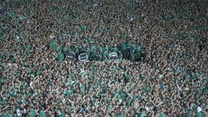 Ultras backdrop