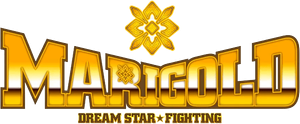 Dream Star Fighting MARIGOLD