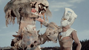 Danger! Lying Poison Mushroom