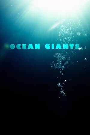 Poster Ocean Giants 2011