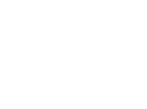 Beautiful Creatures