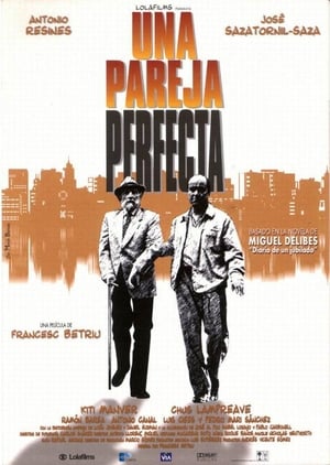 Poster Una pareja perfecta 1998