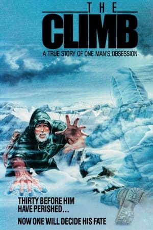 The Climb 1986