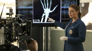 Bones Temporada 11 Capitulo 18