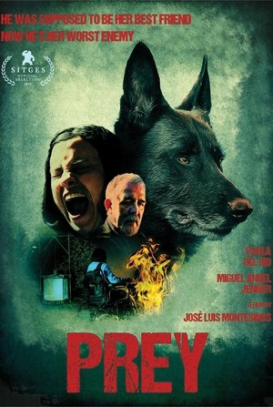 Watch Prey online