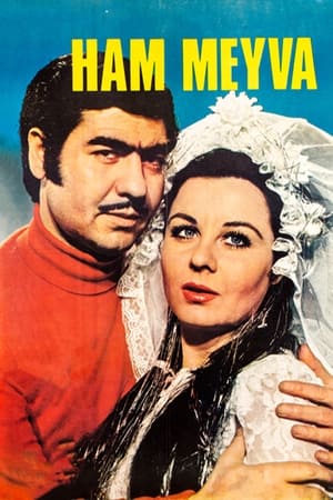 Poster Ham Meyve 1970