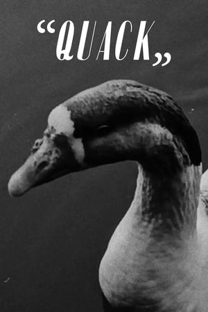 Poster “Quack” (2023)