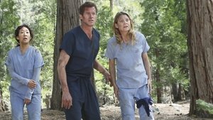 Grey’s Anatomy 8 x Episodio 24