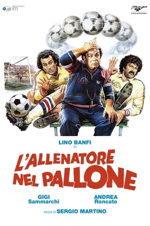 Poster di L'allenatore nel pallone