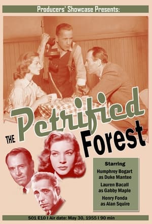 Poster The Petrified Forest 1955