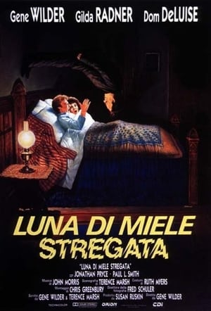 Poster Luna di miele stregata 1986