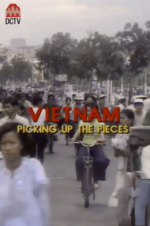 Vietnam: Picking up the Pieces