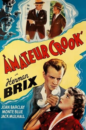 Amateur Crook poster