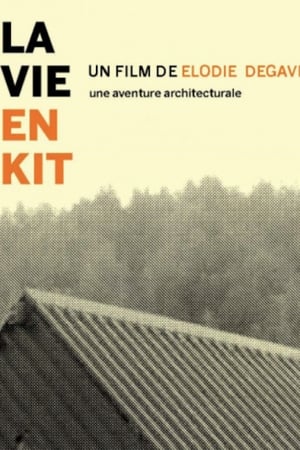 Poster di La vie en kit