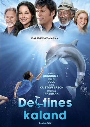 Poster Delfines kaland 2011