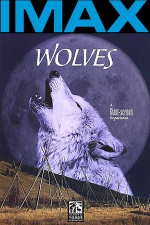Poster Wolves 1999