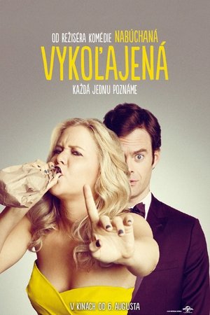 Poster Vykoľajená 2015