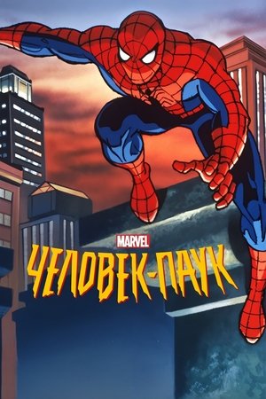 Image Человек-паук