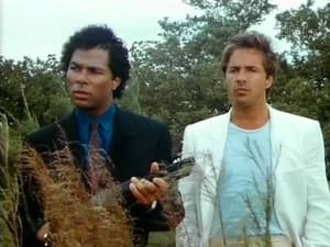 Miami Vice: 2×22