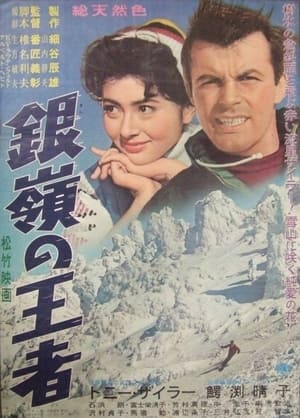 Poster Storm on the Silvery Peaks 1960