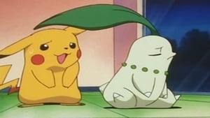 S03E20 - Chikorita's Big Upset