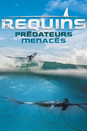 Poster Requins, prédateurs menacés 2021
