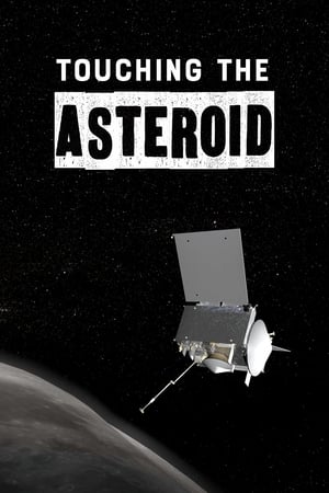 Poster Touching the Asteroid (2020)