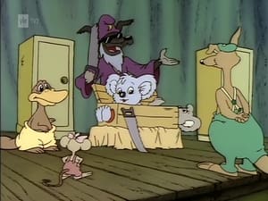 Blinky Bill: 1×11