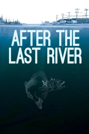 pelicula After the Last River (2015)