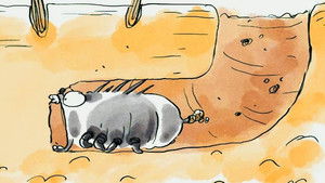 Wer nicht fragt, stirbt dumm!: 1×24