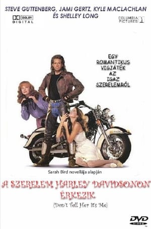 A szerelem Harley Davidsonon érkezik 1990