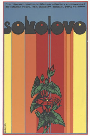 Sokolovo
