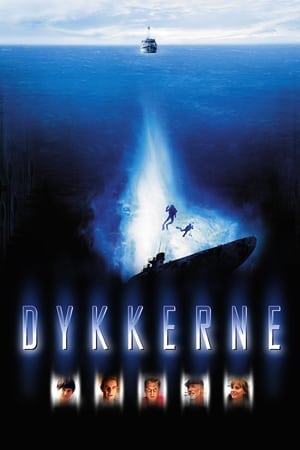 Poster Dykkerne 2000