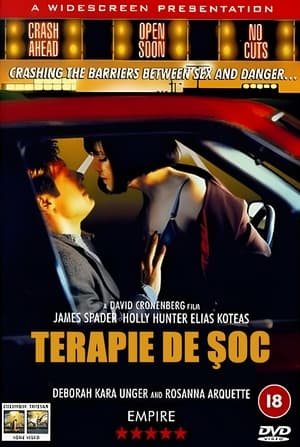 Terapie de șoc (1996)