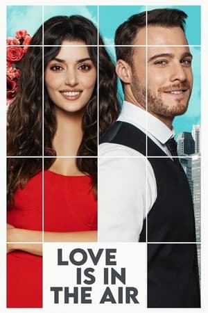 Love Is In The Air: Season 1