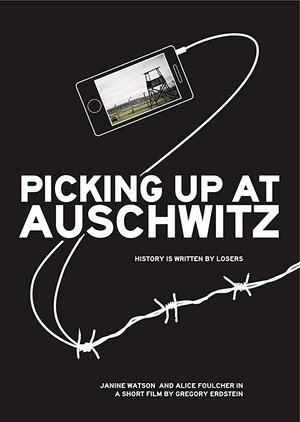 Poster Picking Up at Auschwitz (2012)