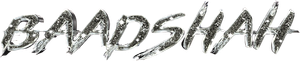 Baadshah — Logos 2