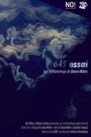 645 essai